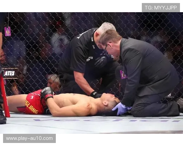 卡洛斯·普拉特斯KO里昂·爱德华兹，次中量级格局生变